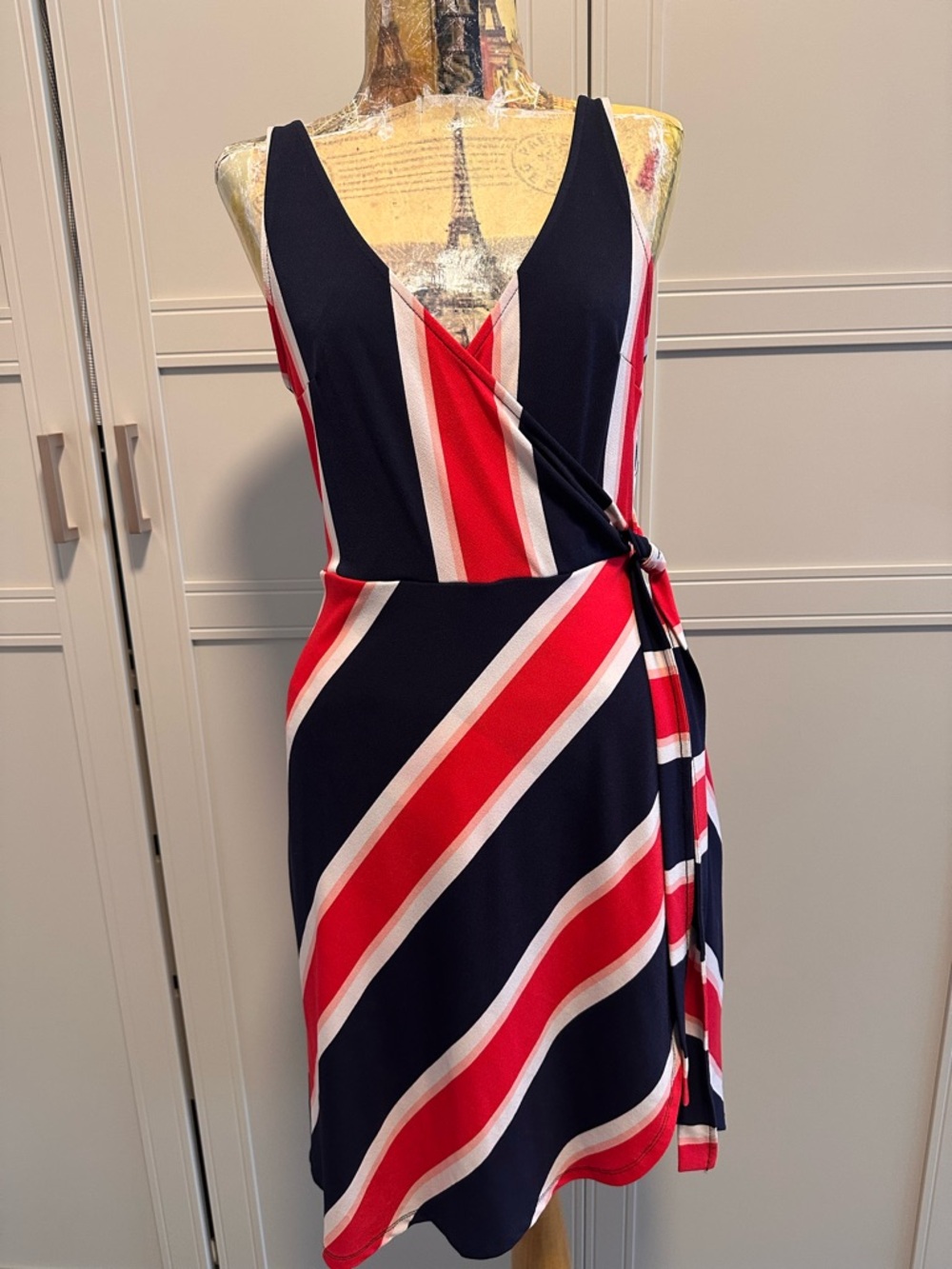 Express Striped Dress in Navy and Red